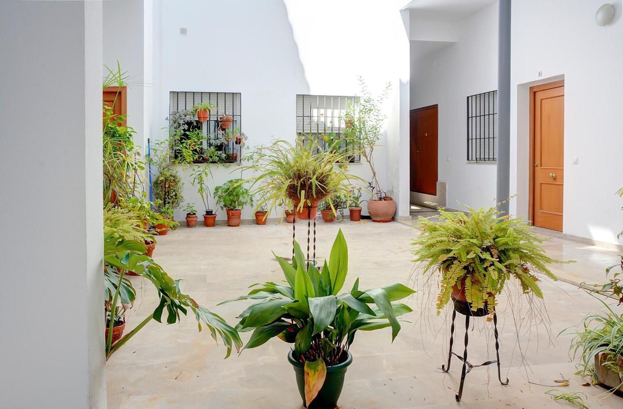 Estudio Plaza De La Encarnacion